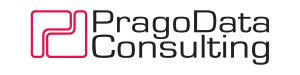 PragoData Consulting